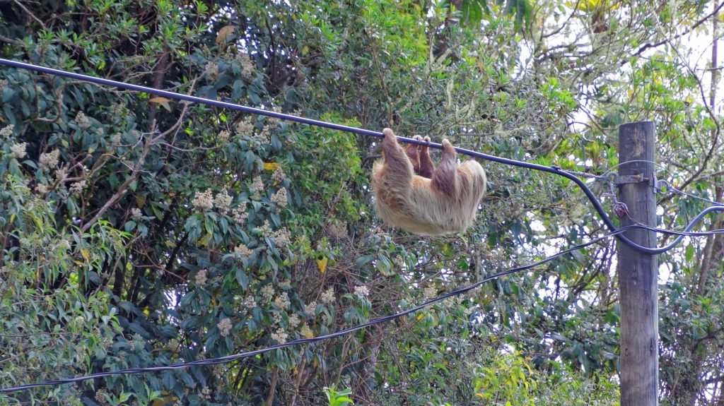 01 - Volcan Poas (03).jpg